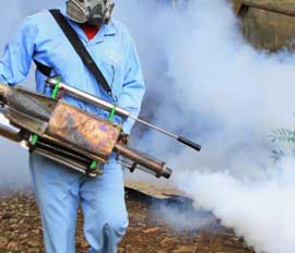 Fumigation Service in Lahore Fumigation Service in Lahore